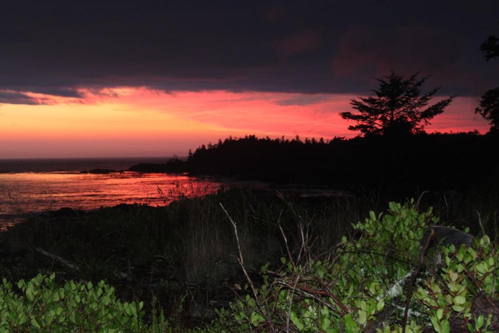 Cygnet Cove Suites Ucluelet Exterior foto