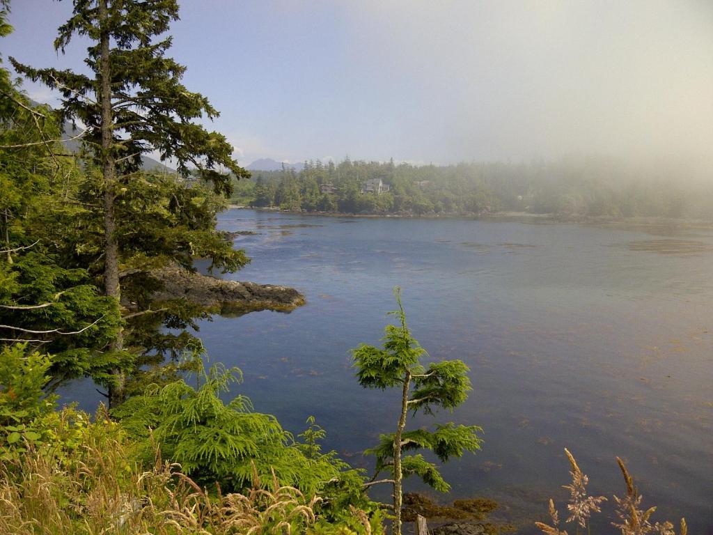 Cygnet Cove Suites Ucluelet Exterior foto